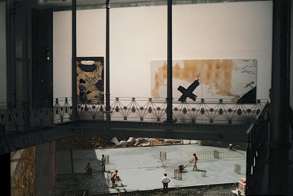 Décorer son intérieur avec des plantes indigènes